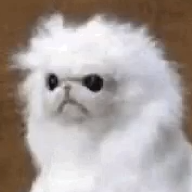 ShortException1