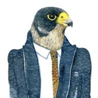 Pionus