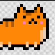 Tippie_
