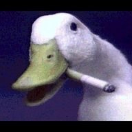 YoungDuck