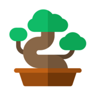 Bonsai.