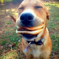 Maple Bacon