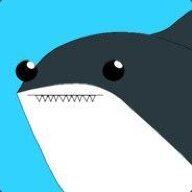 Maxime_48