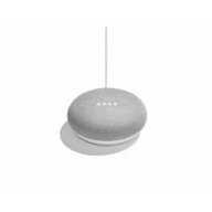 GoogleHome