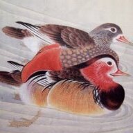 Quantum Quack