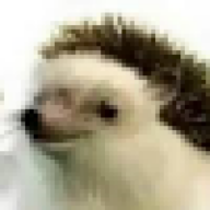 connor_