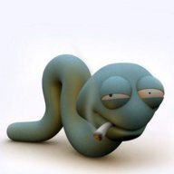 WormBean