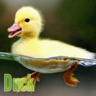 DuckSyntale