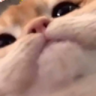 Racami