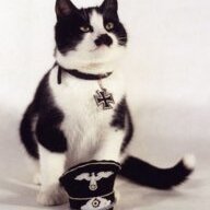 kitlerr