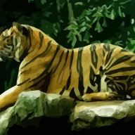 Arshi