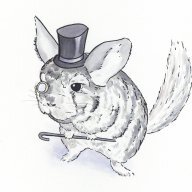 Chinchilla