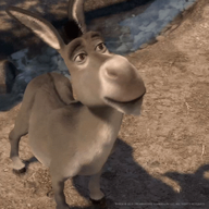Ravngp