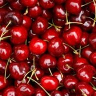Cherry232