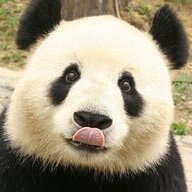 PandaDev