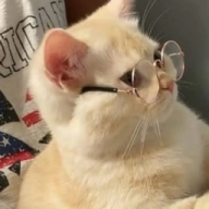 BinaryTech