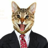 Gato