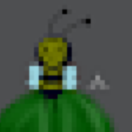 Pike