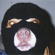 Unts