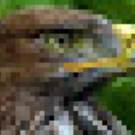 AcerEclipse