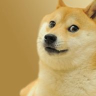Dogema