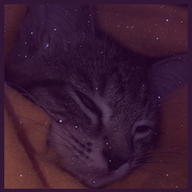 amoddie