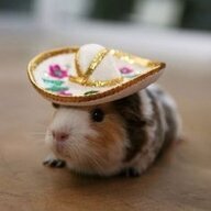 BurritoMan