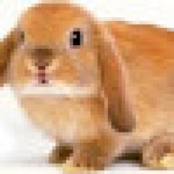 Justbunnyxxd