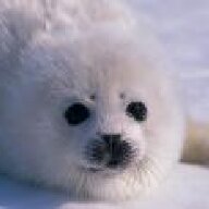 Sealflipper