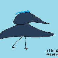 cayoten