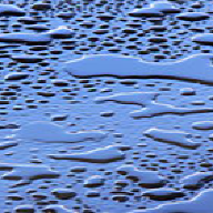 turtles_06