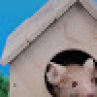 Mouse Jackson