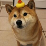 DoggoTheDog