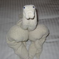 Fortified Towel