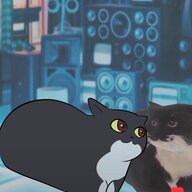 Purrpel