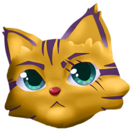 Koko_the_Cat