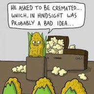 Jacketedcorn