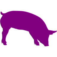 Purplepigfarm