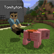 Tomitytom