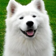 Jonoe
