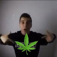alanicja