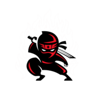 The Ninja