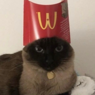 MrEpiko