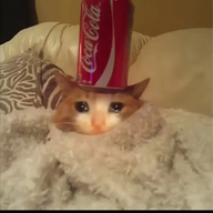 NoksiDK