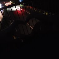 lul.two