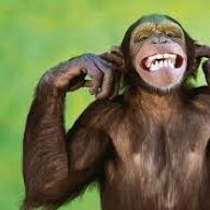 monkeyman