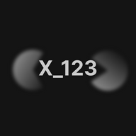 X123