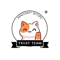 Trust Team