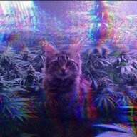 MFHaZe