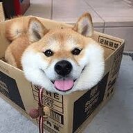 PuppyTransGirl